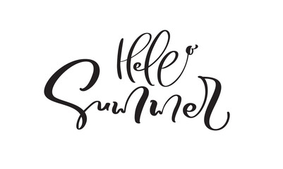 Hello Summer Calligraphy lettering brush text. Vector Hand Drawn Isolated phrase. Illustration doodle sketch isolated design for greeting card, print