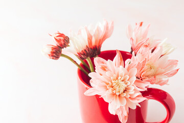 pink chrysanthemum in red mug cup