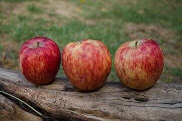 3 apples on wood with natural background