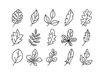 Vector leaves set. Botanical doodle drawing illustration. Hand drawn sketch. Black and white color exotic monstera leaf