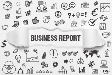 Business Report