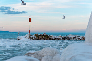 Beautiful shot of the Lake Balaton in Hungary during the winter with flying birds