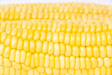 close up of ripe yellow corn