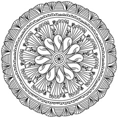 Contour mandala with doodle peacocks and striped patterns, zen coloring page with funny birds