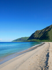 Fototapeta na wymiar ハワイ、晴天のマクアビーチ