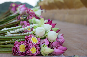 Flower offering. Lotus lied down for praying
