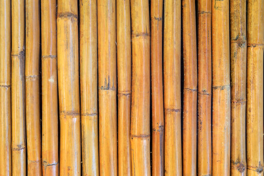 bamboo wooden wall or fence for background textured.