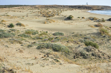 Cape Akrotiri on the southern coast of Cyprus is famous for its sand dunes