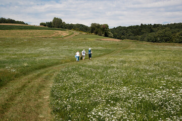 Resting outdoor. Group of family members is walking in the field.  Zickental, Rohr, Southern Burgenland, Austria - obrazy, fototapety, plakaty