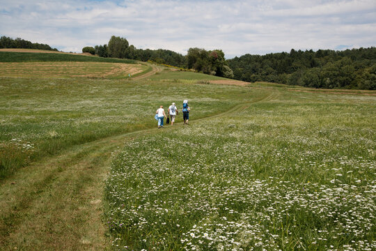 Resting outdoor. Group of family members is walking in the field.  Zickental, Rohr, Southern Burgenland, Austria