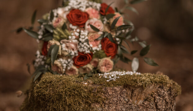 Unvergessliche Hochzeitsmomente