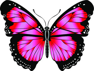 Beautiful delicate air butterfly of red-pink color.