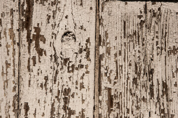 Fototapeta premium Old black and white shabby background with elements of old white paint on old wooden background with beautiful loft style texture