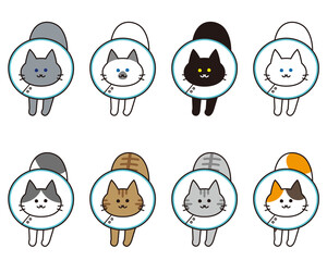 エリザベスカラーを付けた伸びをしている様々な猫種の全身セット