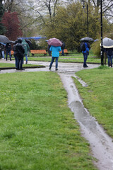 Ludzie pod parasolami czekają w kolejce do mobilnego punktu szczepień we Wrocławiu.  - obrazy, fototapety, plakaty