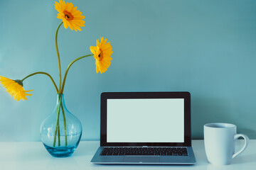The modern workplace - desk with laptop mockup white empty screen, coffee cup, and fresh yellow gerbera flowers in the vase on the blue background. Workspace in home office. Color in interior design.