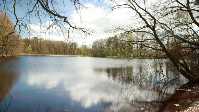 A time lapse shot of a lake in the Sibirien forest of Elmshorn, Schleswig-Holstein, Germany