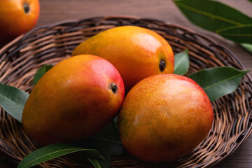 Mango. Fresh mango fruit on a bamboo sieve over dark wooden table background.