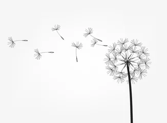 Fotobehang Abstract background of a dandelion for design. © viktorijareut