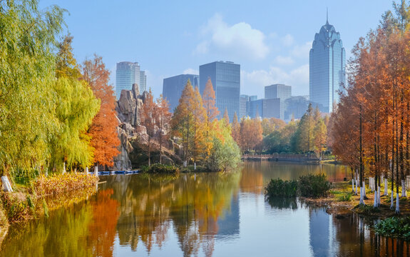 Beautiful landscape of golden autumn season at Yinzhou Park, Ningbo, Zhejiang, China