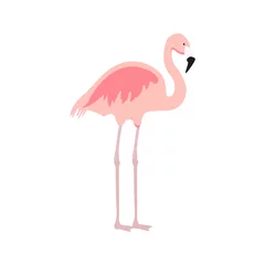 Fotobehang Exotic pink flamingo © viktorijareut