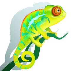 funny cartoon colorful chameleon is sitting on branch. exotic tropical animal with shadow on white background. vector illustration © laduhis72