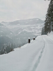 ski resort in the mountains