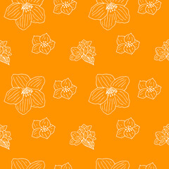 Jasmine seamless pattern, vector illustration, hand drawn sketch, orange color