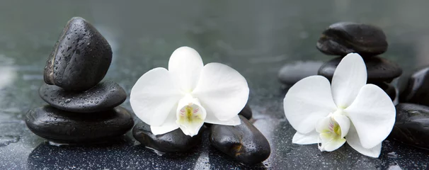 Poster Weiße Orchideenblüten und Stein mit Wassertropfen isoliert © Swetlana Wall