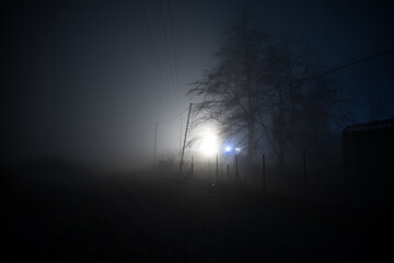 Old house with a Ghost in the forest at night or Abandoned Haunted Horror House in fog. Old mystic building in dead tree forest. Trees at night with moon. Surreal lights. Horror Halloween concept