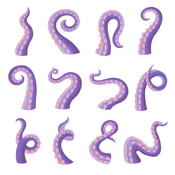 Octopus tentacles. Wild scare underwater ocean danger animal acuatic octopus cut tentacles recent vector illustrations body parts