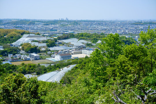 初夏の光に包まれる学校と広大なぶどう畑のパノラマ アニメ背景・デザイン素材