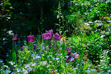 熱海の庭園の景色