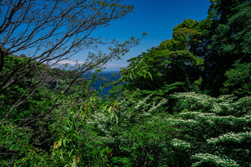 熱海の庭園の景色