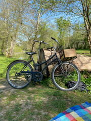 Fototapeta na wymiar Vélo adossé à une souche d'arbre à coté d'un lac, Gironde