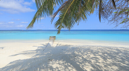 palm leaves on the shore of a tropical island