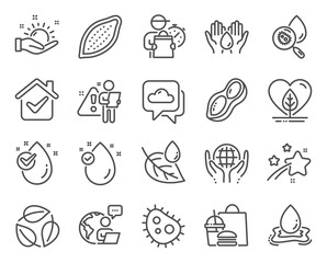 Nature icons set. Included icon as Safe water, Vitamin e, Weather forecast signs. Water analysis, Cocoa nut, Bacteria symbols. Organic tested, Leaves, Local grown. Leaf dew, Peanut. Vector