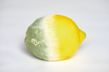 Citron decomposition