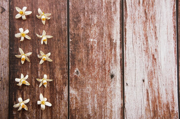small white orange flowers on a wooden background