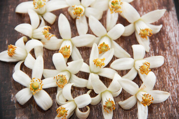 small white orange flowers on a wooden background