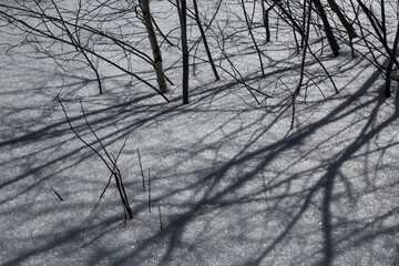 snowy landscape