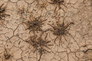Nature background of cracked dry lands. Antiparos island, Greece.