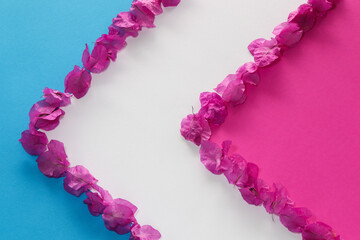 Tropical pink flowers on a colourful background.