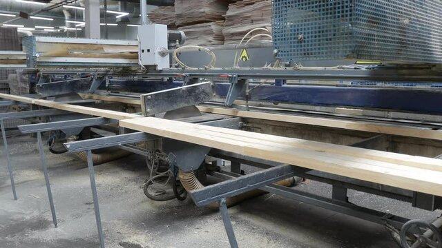 Carpentry factory. Production line of parquet board. Modern industrial factory for laminated flooring.