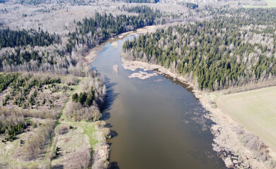 Top view of a forest lake in summer