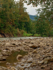 Shallow mountain river in September near the village of Vorokhta