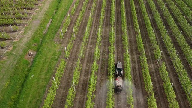 Farmer sprays pesticides on its plant