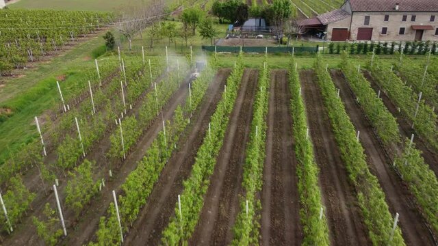Farmer sprays its plants with phytochemicals