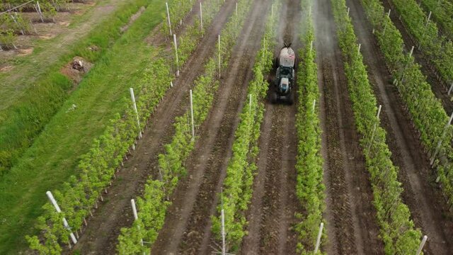 Farmer sprays phytochemicals on its plants