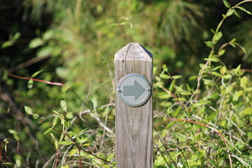 Arrow Pointing To The Right On Wooden Trail Sign Post